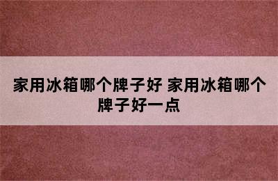 家用冰箱哪个牌子好 家用冰箱哪个牌子好一点